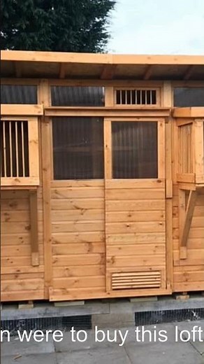 The perfect racing pigeon loft design for racing pigeons