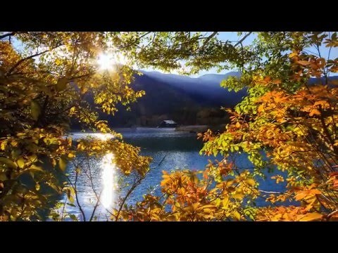Χρυσοπράσινο Φύλλο - Μίκης Θεοδωράκης (Ορχηστρικό)