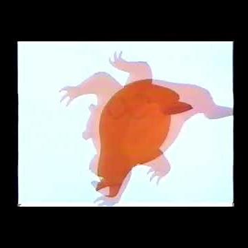 Disney Channel Bumper from the 90's #shorts