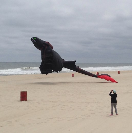 How To Train Your Dragon Kite