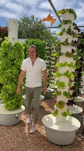83K views · 1.1K reactions |  Urban farming at its finest #TowerGarden #UrbanFarming #Aeroponics #Hydroponics #VerticalFarming #Agriculture #Farming #TowerFarms #Lettuce #HealthyLiving | Agrotonomy Tower Farms | Facebook