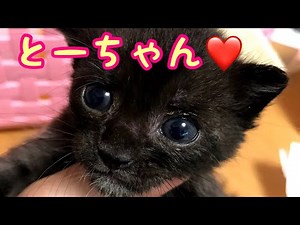 くまごろうは 絶対 渡さん！byおやじ