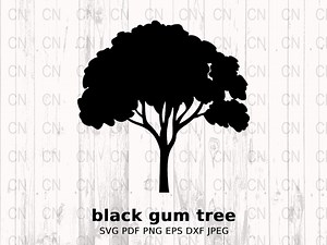 Black Gum Tree Silhouette SVG, Deciduous Tree Clipart, Nature Vector, Woodland Design Digital Cut File - Etsy