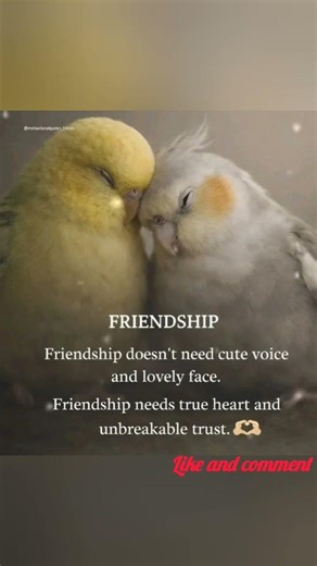 Friendship rules #thinking #trending #viral #lifelessons #friendshiprules #lifequotes #shorts