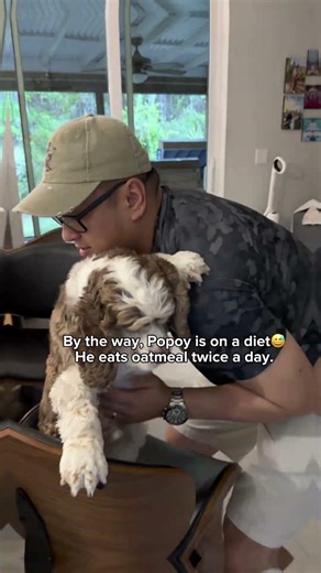 But I still can’t carry him long 😅#PetReels #cockerspaniel #albertesther #makingmemories