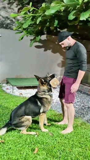 The most difficult exercise at IGP. #smarttraining