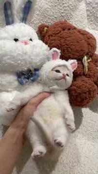 This cat tried… and that’s what matters 😹💀 | Funny Zoo Pank