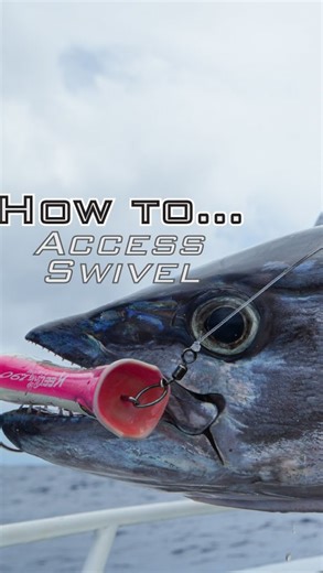 Oceans Legacy on Instagram: "ACCESS SWIVEL, ACCESS CLIP & ACCESS BALL BEARING Tutorial class HOW TO… 2026 we will be providing more demonstration on how our products are best used for anglers FULL VIDEO on our YOUTUBE @ Oceans Legacy or check the link on our Bio #oceanslegacy #terminaltackle"