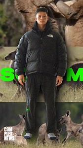 1.2K views · 50 reactions | MSCHF just dropped a new stack of BLUR.   | Complex | Facebook