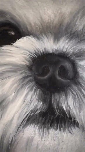 Bringing this sweet face to life, one layer at a time 🐾 #dogphotography #dogpainting #disability