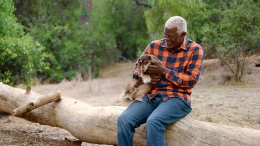 2K views · 45 reactions | Dogs help us live longer. Return the favor with Freshpet. | Freshpet | Facebook