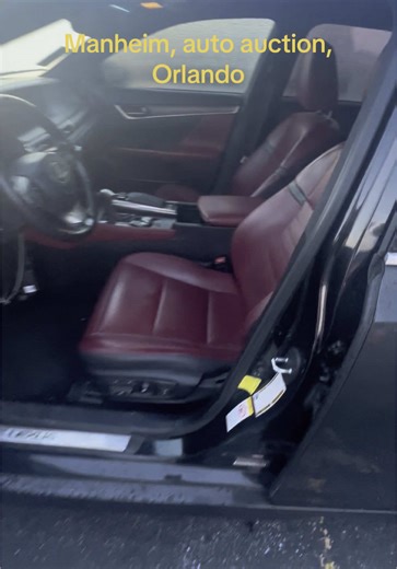 Exploring Manheim Auto Auction in Orlando