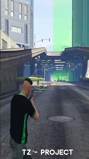 TZ Project is a best cheat for FiveM? i think so...