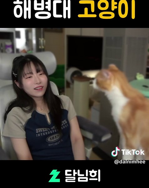 악!!!! 🎥 치지직 스트리머 달님희 🩵 노래 / 수다 / 일상 / 고양이 🩵 📍치지직 : 달님희 📍인스타 : @dalnimhee 🎵 Music : 유튜브 - 루피 @loopii - 동물의 숲 비오는 날 bgm #달님희 #치지직 #스트리머 #고양이 #집사