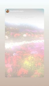 SGT University on Reels