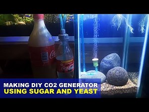 How to make DIY CO2 Generator Using Sugar and Yeast