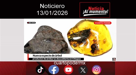 #Noticiero TVO #TuDiarioVivir con Adolfo Luján.