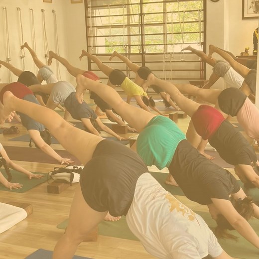 3.7K views · 57 reactions | Capturing the essence of our transformative 'From Periphery to Core' Iyengar Yoga workshop with Maggie Tan! These moments showcase our journey of unifying body and mind, exploring awareness, and deepening our yoga practice. Grateful for the connections made and lessons learned on the mat. #IyengarYoga #YogaWorkshop #BodyMindConnection #YogaCommunity | BKS iyengar yogashala (BKSIYS) | Facebook