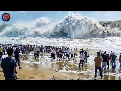 Most Unbelievable Nature Moments Ever Caught on Camera | Best of 2025 #20