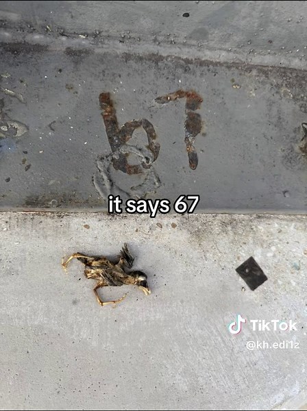 mason…..#fyp #fypシ゚viral #67powerstroke #67