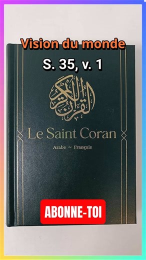 Des Anges à trois ailes (comment ça vole?!)