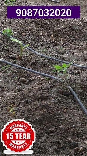 How to Install a Drip Irrigation System | Step-by-Step Tutorial