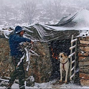 1.1M views · 17K reactions | Bushcraft survival winter camping with m dog in snow storm #asmr #diy #wildlife #nature #camping #fblifestyle #survival #winter #bushcraft #craft | Mr. Sulo | Facebook