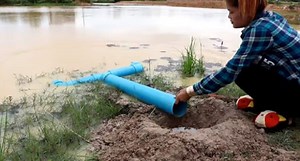 This Extremely Effective DIY PVC Pipe Fish Trap Will Amaze You