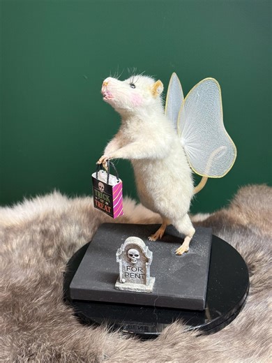 Trick or Treating Taxidermy Rat - Etsy Canada