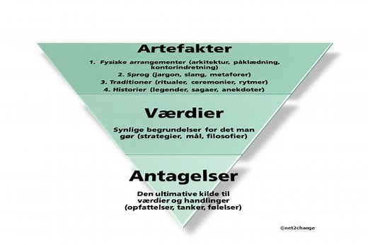 Scheins komplekse organisationsmodel | net2change