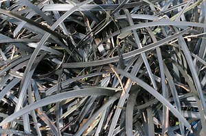 What Causes Dying, Black Grass