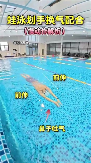 A detailed explanation of slow breathing in Breaststroke#Swimming#Breaststroke#Breathe in