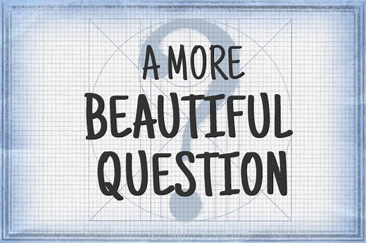 A More Beautiful Question: The Book & The Blog ~ Warren Berger