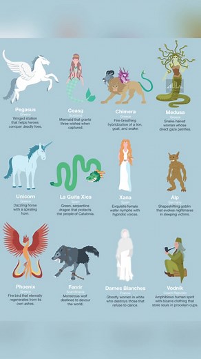 Alive Discovery on TikTok