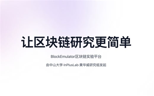 Blockemulator视频教程