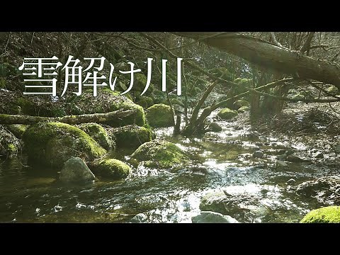 癒しの美しい小川 雪解け水 3時間映像