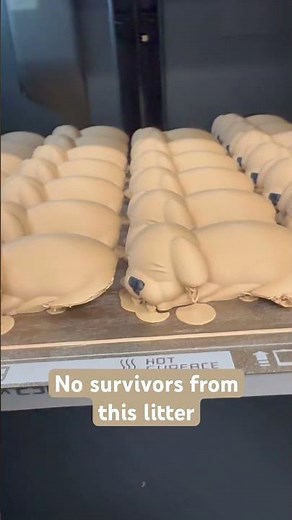 #tinkercad #tutorial #3dprints #3dmodels #3dprinting #puppy #animals