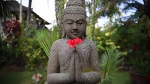 A peek at Beautiful Bali 🇲🇨 Adventure starts here! www.introtravel.com/tours/#bali | Intro Travel