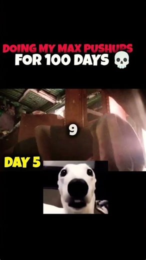 Day 3: Doing Max Push up for 100 days 💀