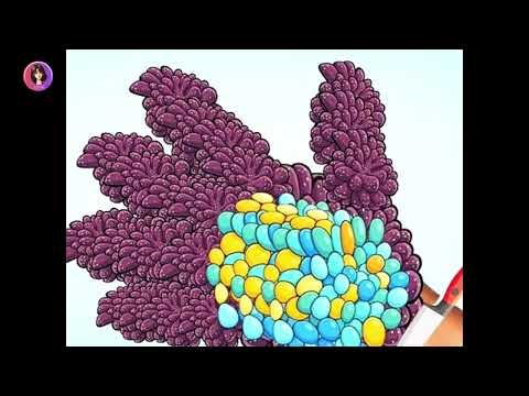 ✋🦶 Hand vs Foot ASMR | Ultimate Relaxation Battle 💆‍♀️✨