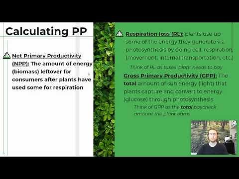 APES Notes 1.8 - Primary Productivity