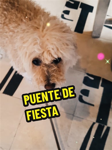 Pilo's Party Rock Celebration