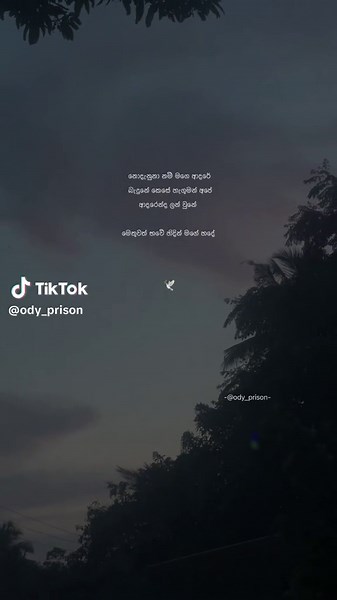 🕊️ #songs #lyrics #srilanka #trending #flypシ #viral #foryoupage #hearttouching #ody_prison