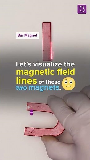 Visualizing Magnetic Field Lines Around A Bar Magnet & Horseshoe Magnet | BYJU'S Experiment Shorts