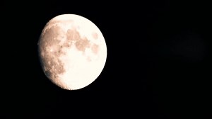 It was just two days into the cruise when the trip took an awful turn... All-new 2-hour Dateline mystery tonight at 9/8c. | Dateline NBC