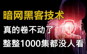 【入门到入狱】只要你敢学我就敢教！暗网黑客技术教程全套1000集，全程干货无废话，手把手带你入门网络安全/渗透测试/kali渗透/黑客技术/内网渗透