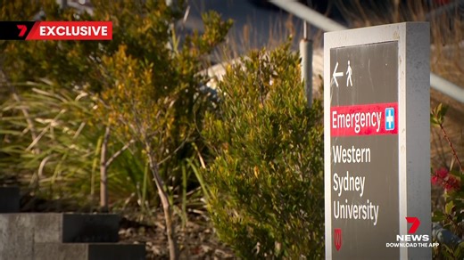 42K views · 169 reactions | More hospital horror stories are emerging as new victims speak out following a 7NEWS investigation, with doctors warning the crisis will worsen amid unfulfilled government promises. 7NEWS at 6pm. Download the 7NEWS app: 7news.link/7newsapp #7NEWS | 7NEWS Sydney | Facebook