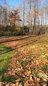 Step-by-Step Lawn Care for a Gorgeous Green Lawn All Year