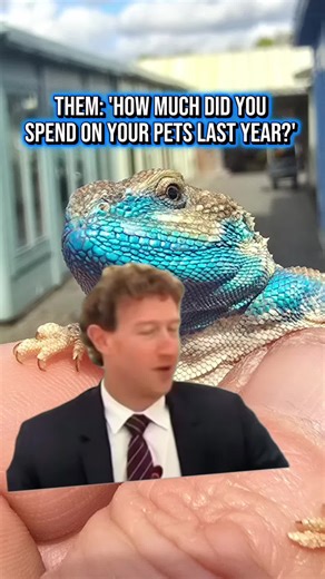 It's good to spoil your pets right? 😂😂 #Meme #pets #lizards #fyp #Reptiles