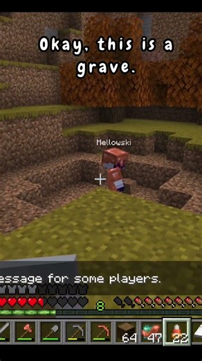 R.I.P Sneken 🪦 #minecraftcat #tragic #creeperexplosion